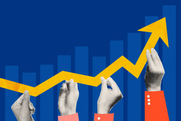 如何通过公司名称查询国外企业税号的全面指南 